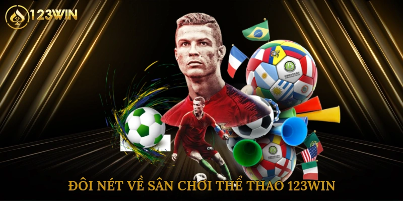 Đôi nét về sân chơi thể thao 123win