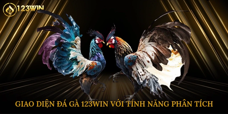 Giao diện đá gà 123win với tính năng phân tích chi tiết 