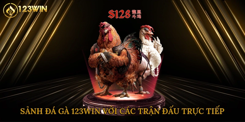 Sảnh đá gà 123win với các trận đấu trực tiếp 